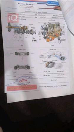 جيب رينيجيد